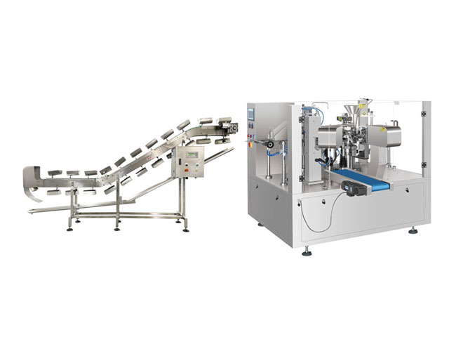 RL-GD8-200R/250R/300D寵物零食全自動包裝機(jī)